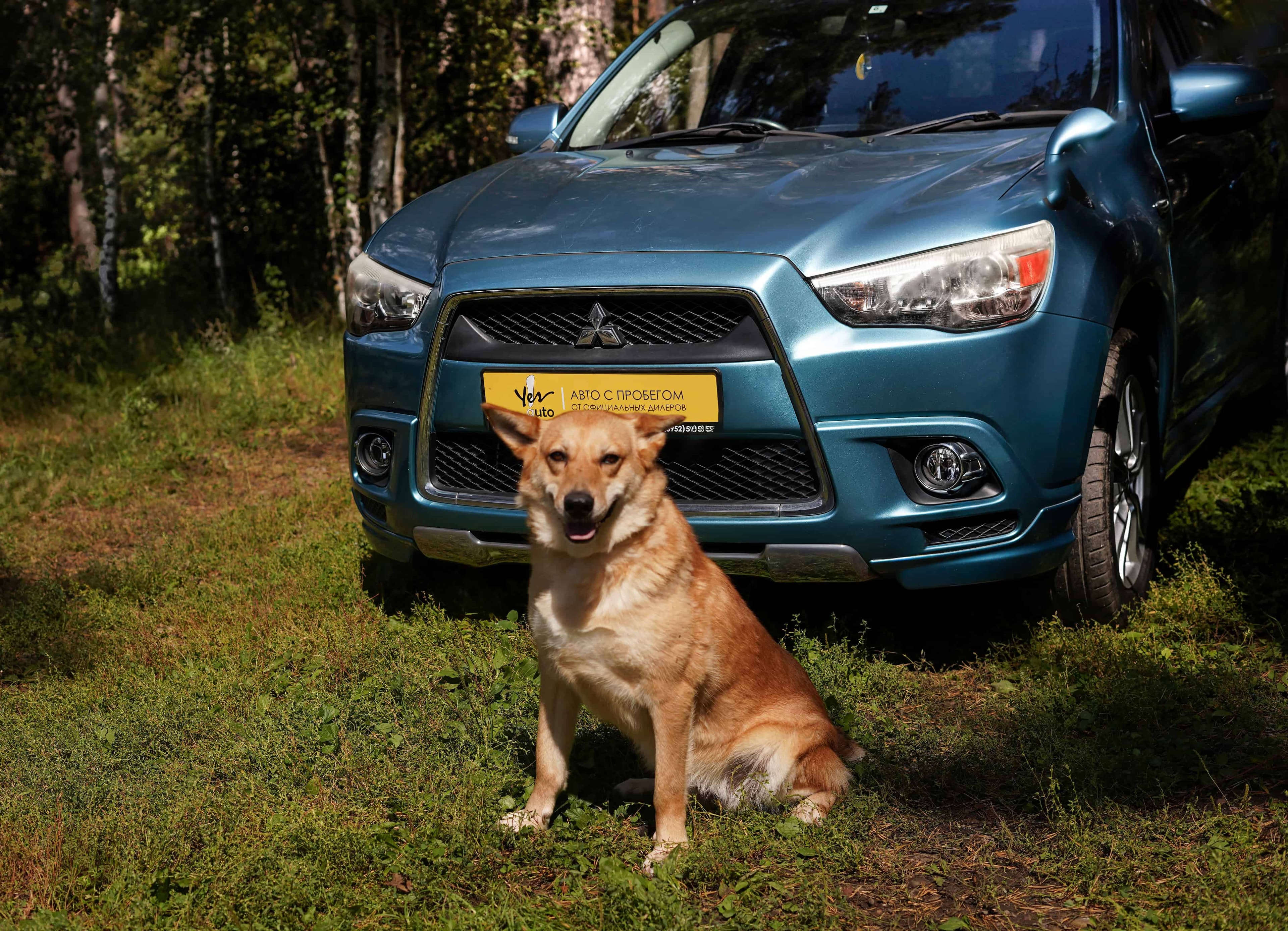 Апельсинка из К9 и Mitsubishi RVR из Yes Auto