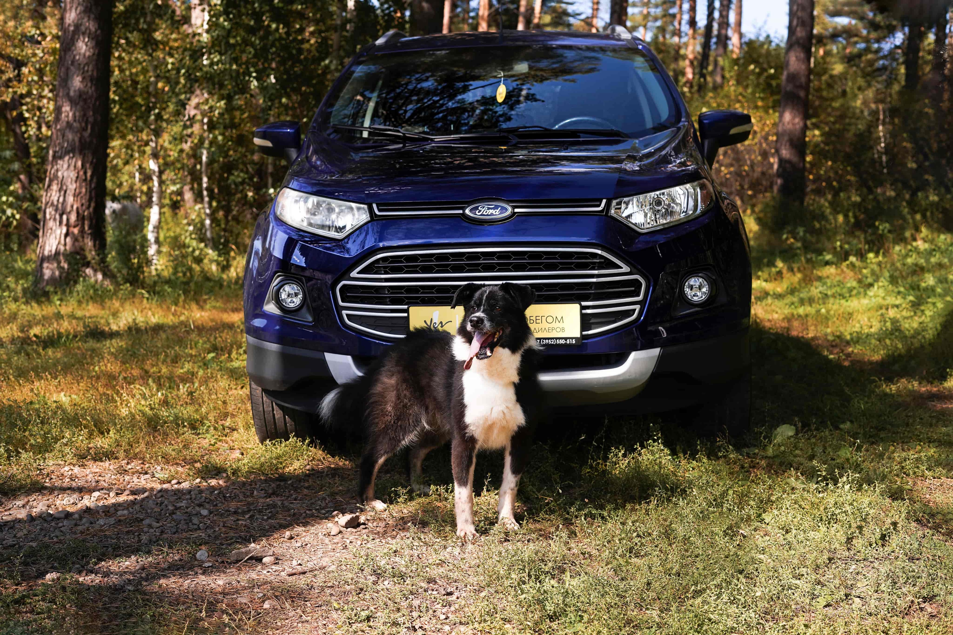 Ляйсан из К9 и Ford EcoSport из Yes Auto