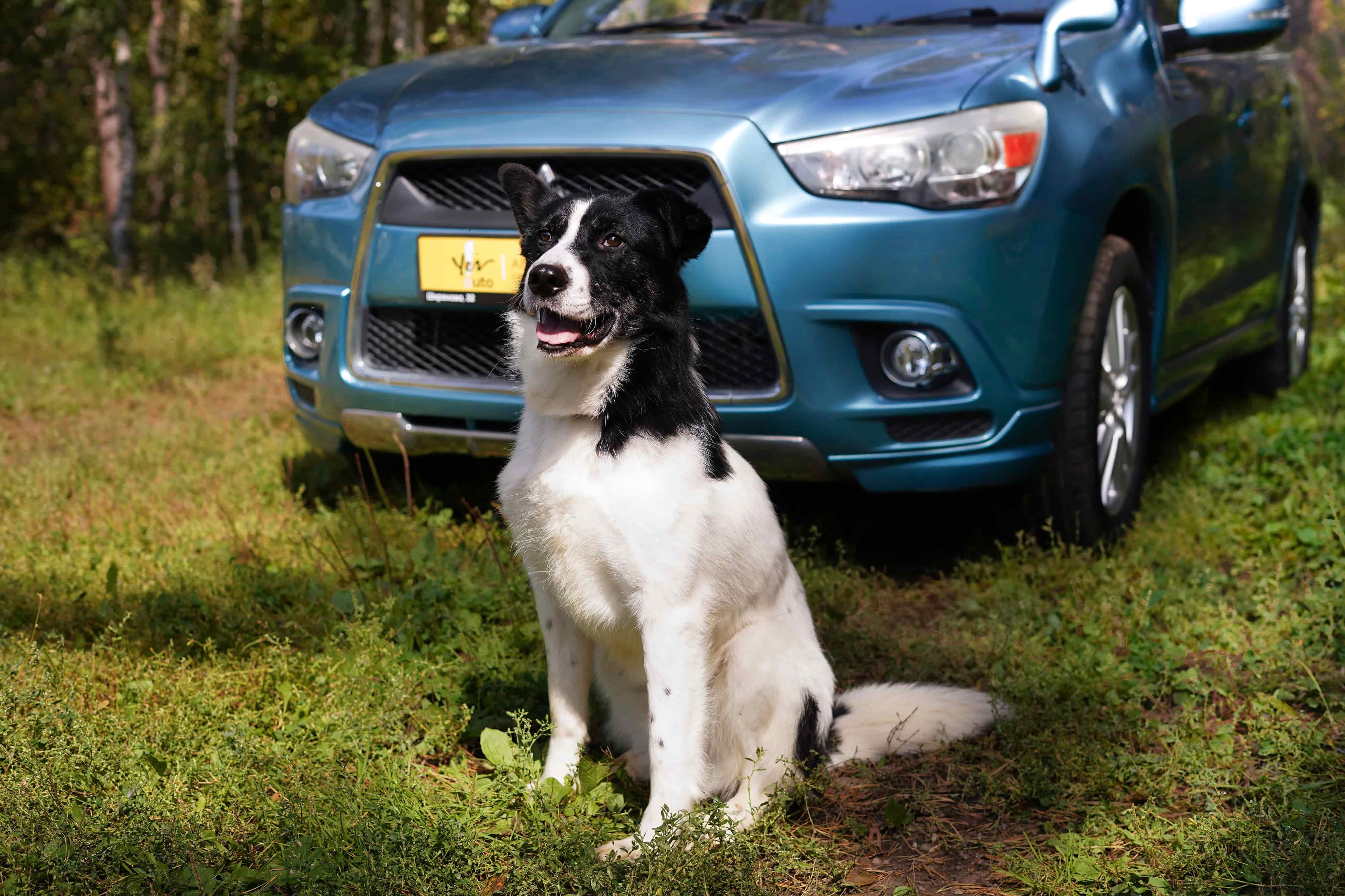 Сева из К9 и Mitsubishi RVR из Yes Auto