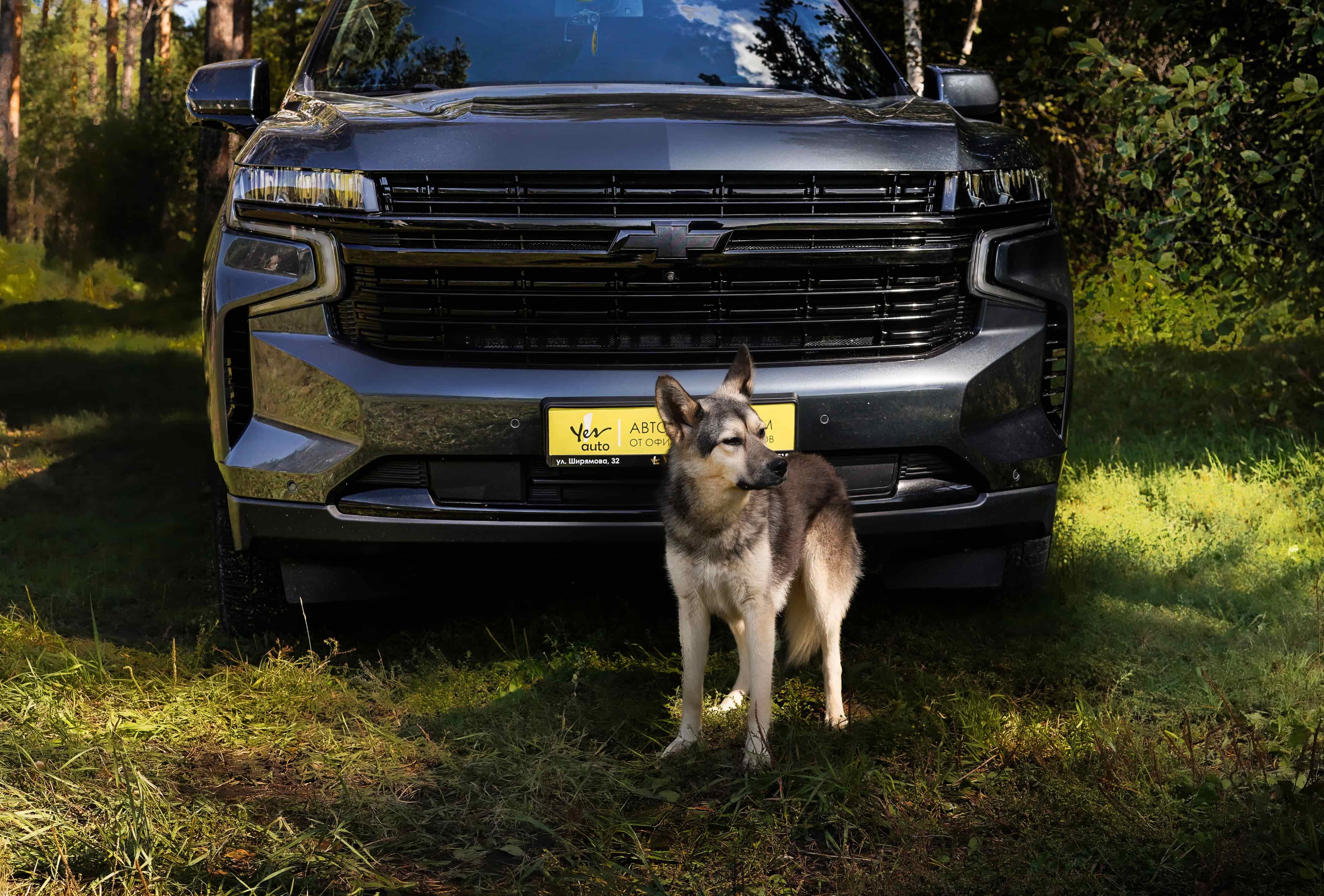 Слёпа из К9 и Chevrolet Tahoe из Yes Auto