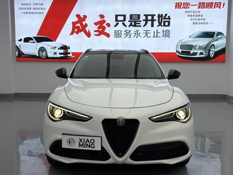 Alfa Romeo Stelvio 2020 — фото автомобиля