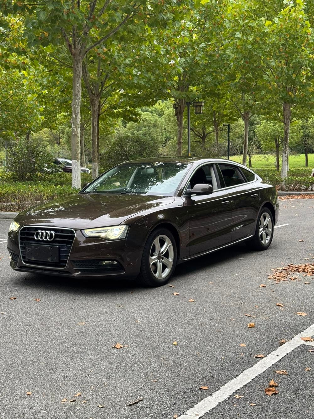 Audi A5 2014 — фото автомобиля