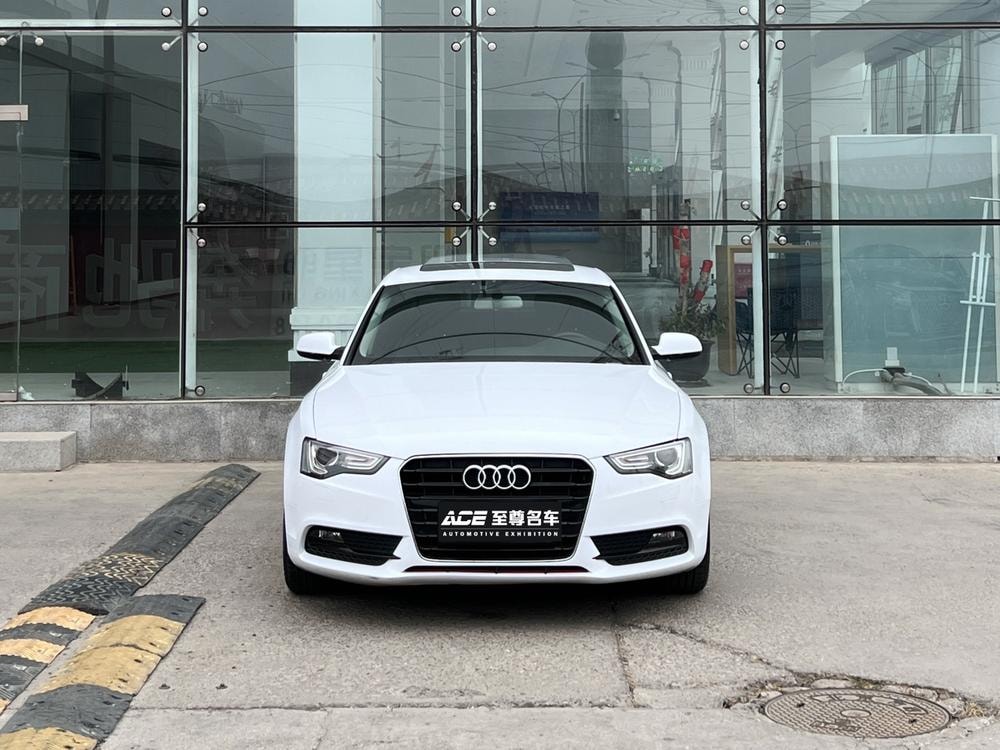 Audi A5 2014 — фото автомобиля
