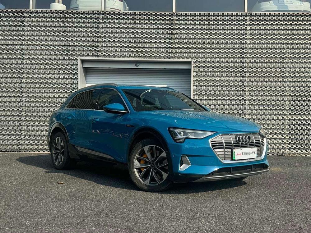 Audi e-tron (Import) 2019 — фото автомобиля 1