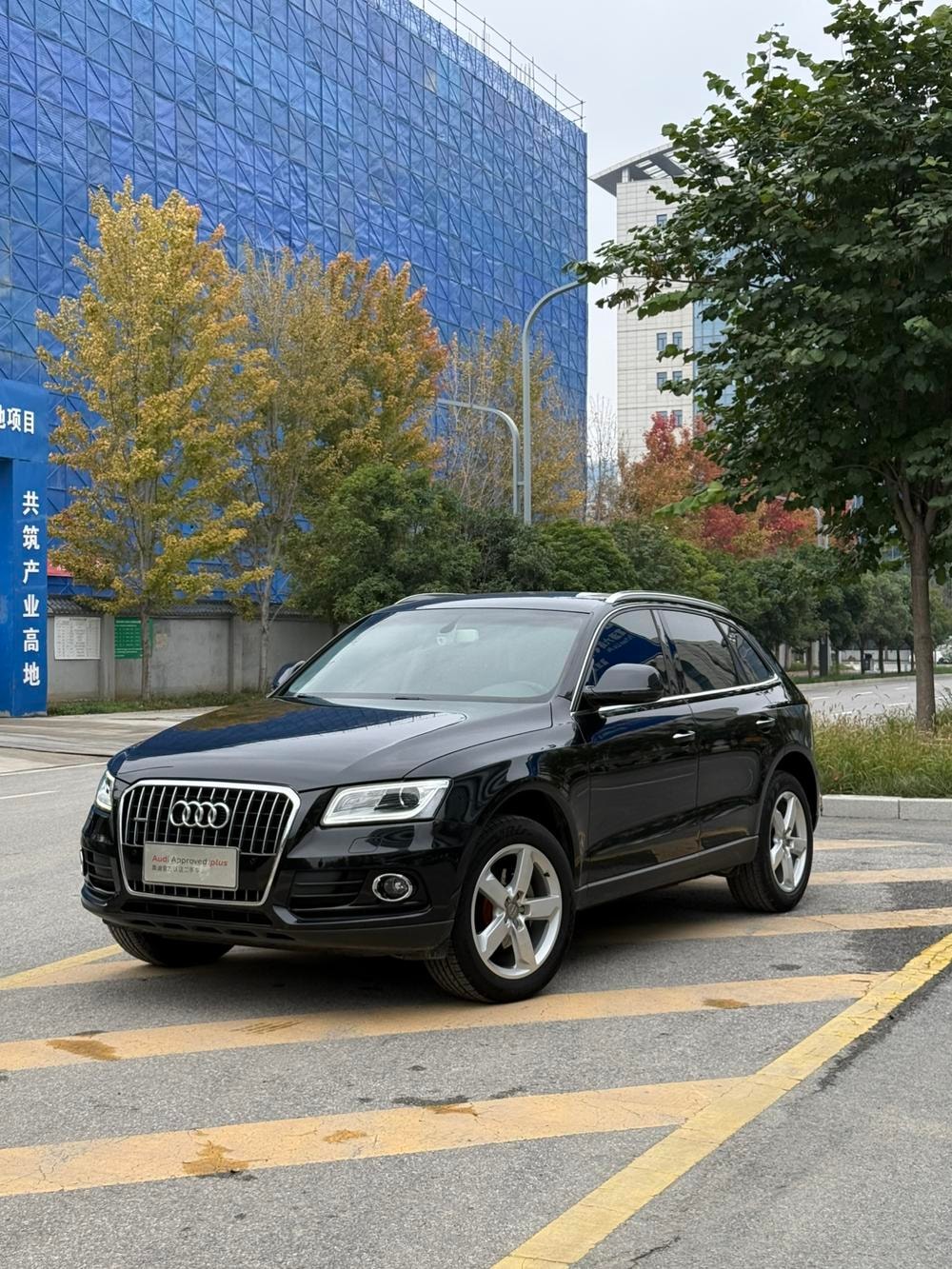 Audi Q5 2016 — фото автомобиля 1