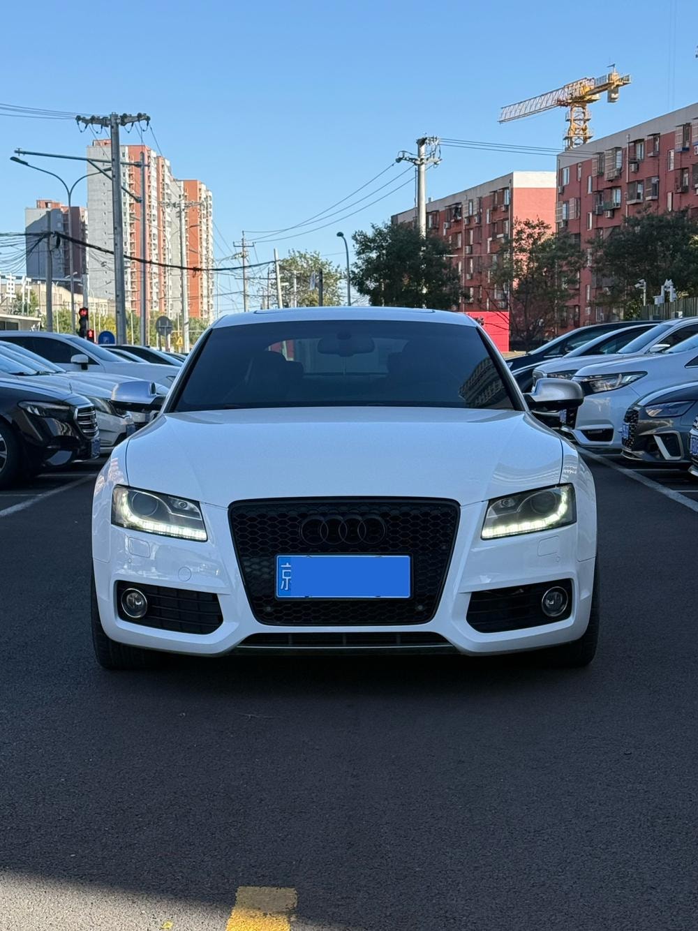 Audi S5 2010 — фото автомобиля