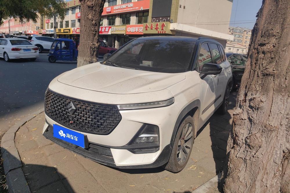 Baojun RS-5 2019 — фото автомобиля