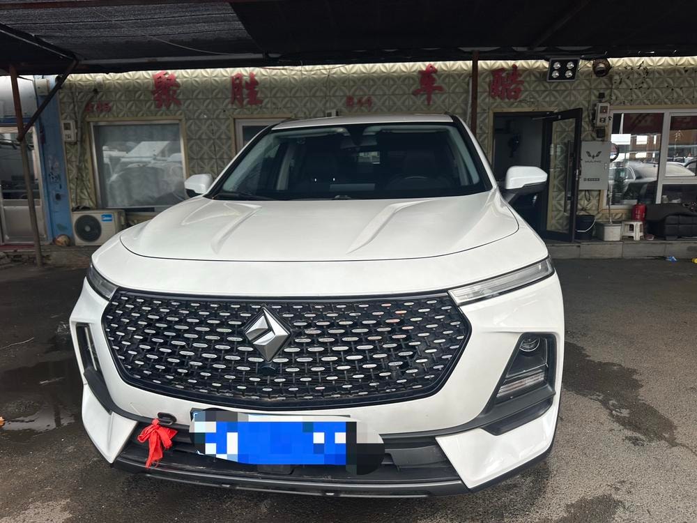 Baojun RS-5 2019 — фото автомобиля
