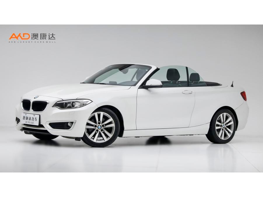BMW 2-Series (Import) 2015 — фото автомобиля
