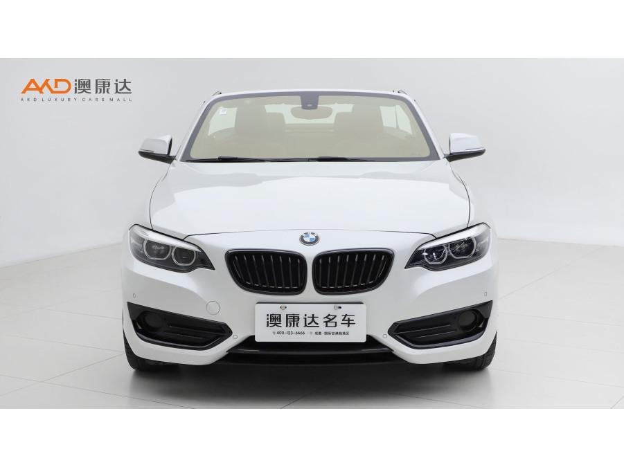 BMW 2-Series (Import) 2019 — фото автомобиля