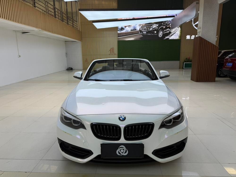 BMW 2-Series (Import) 2019 — фото автомобиля