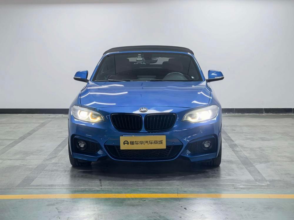 BMW 2-Series (Import) 2019 — фото автомобиля 1