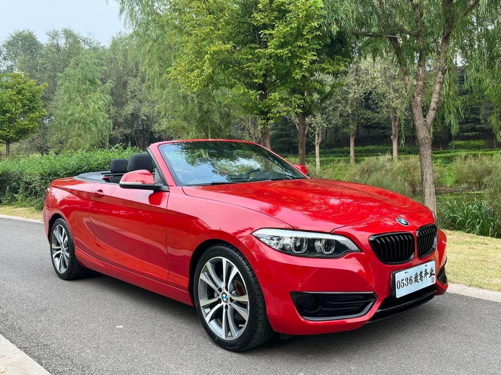 BMW 2-Series (Import) 2019 — фото автомобиля
