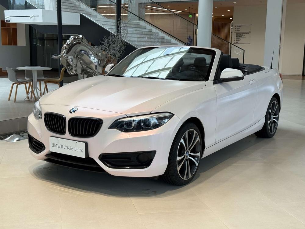 BMW 2-Series (Import) 2019 — фото автомобиля