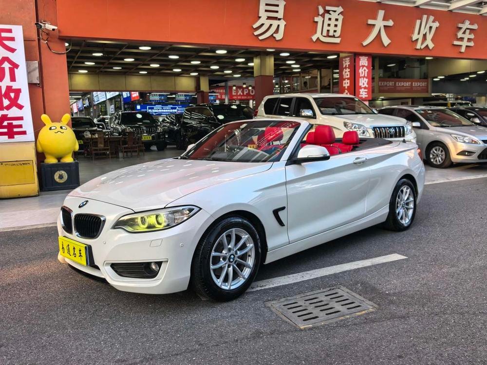 BMW 2-Series (Import) 2015 — фото автомобиля