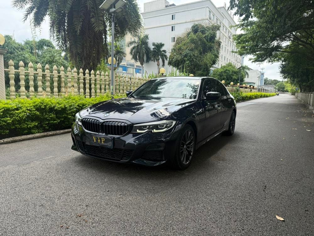 BMW 3-Series 2020 — фото автомобиля 1