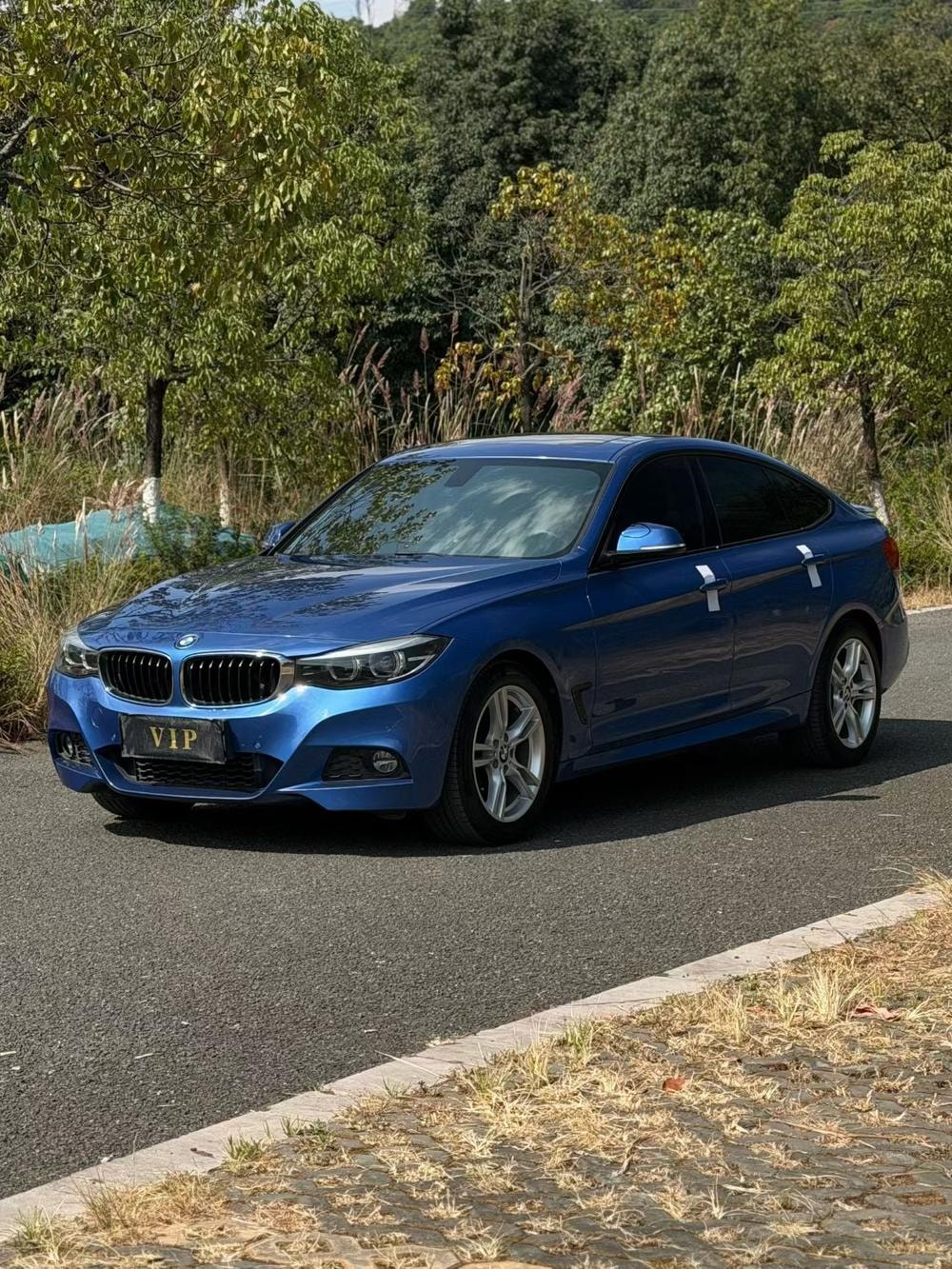BMW 3-Series GT 2018 — фото автомобиля 1