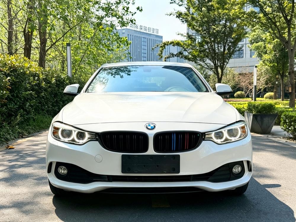 BMW 4-Series 2016 — фото автомобиля 1