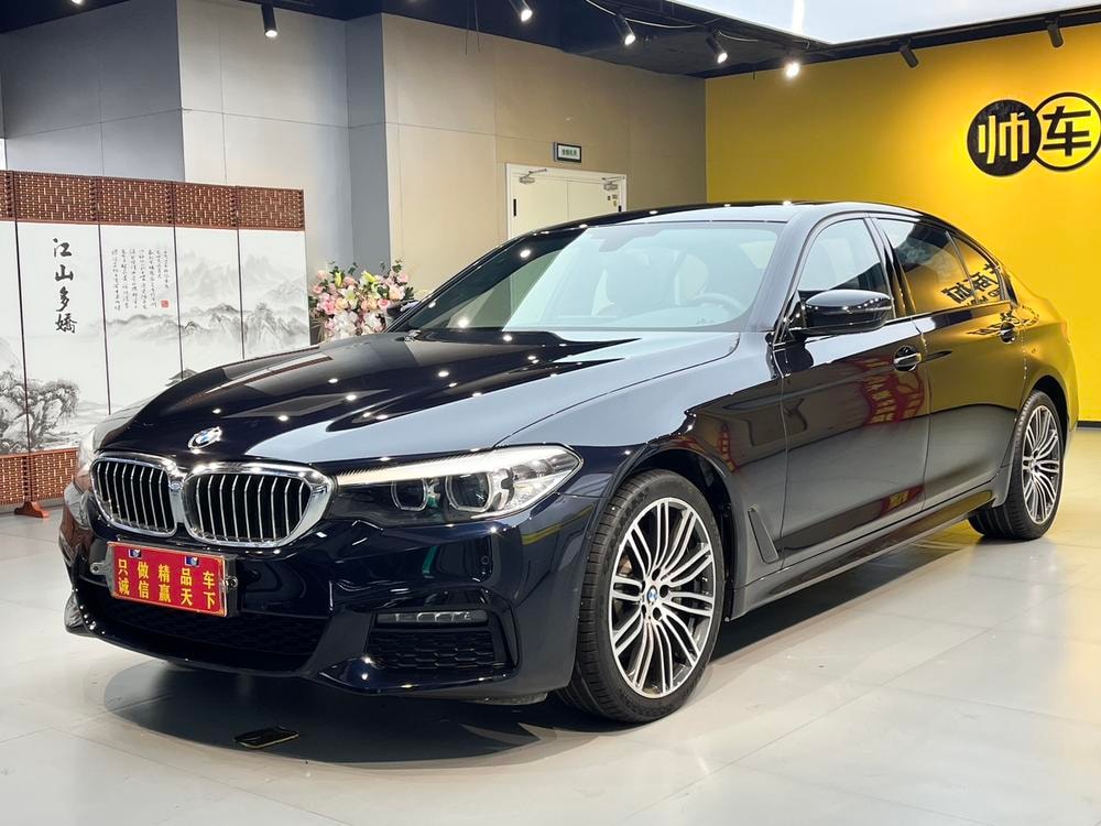 BMW 5-Series 2019 — фото автомобиля