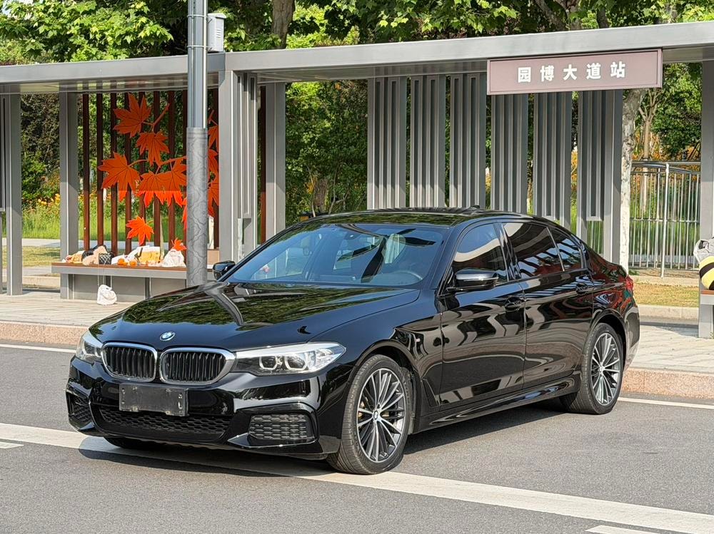 BMW 5-Series 2019 — фото автомобиля