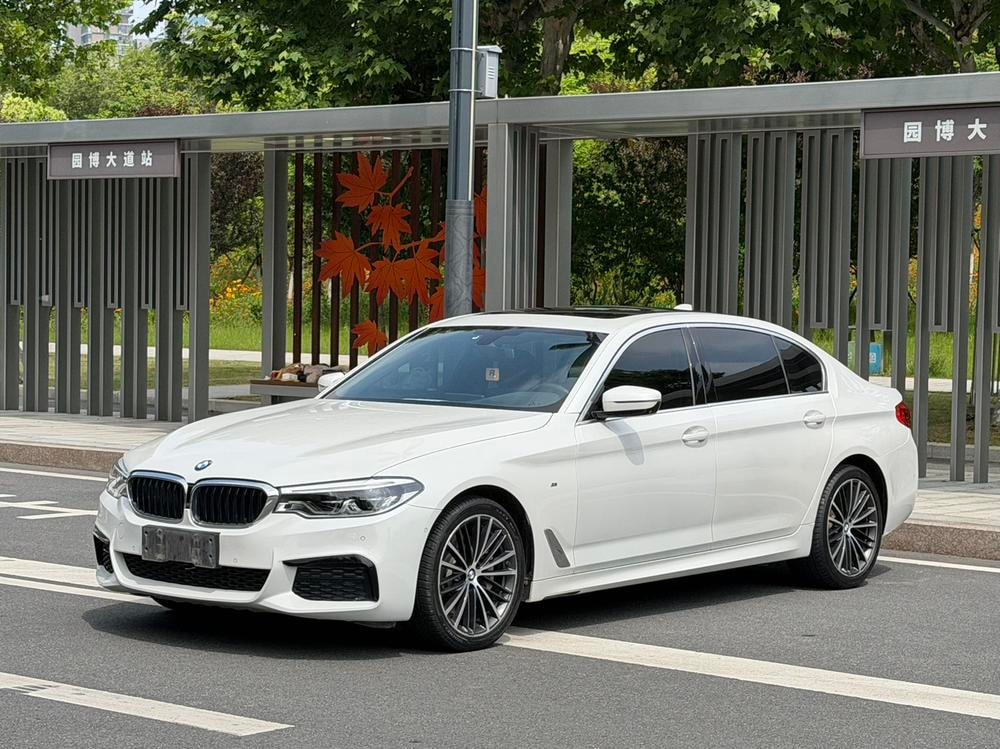 BMW 5-Series 2020 — фото автомобиля 1