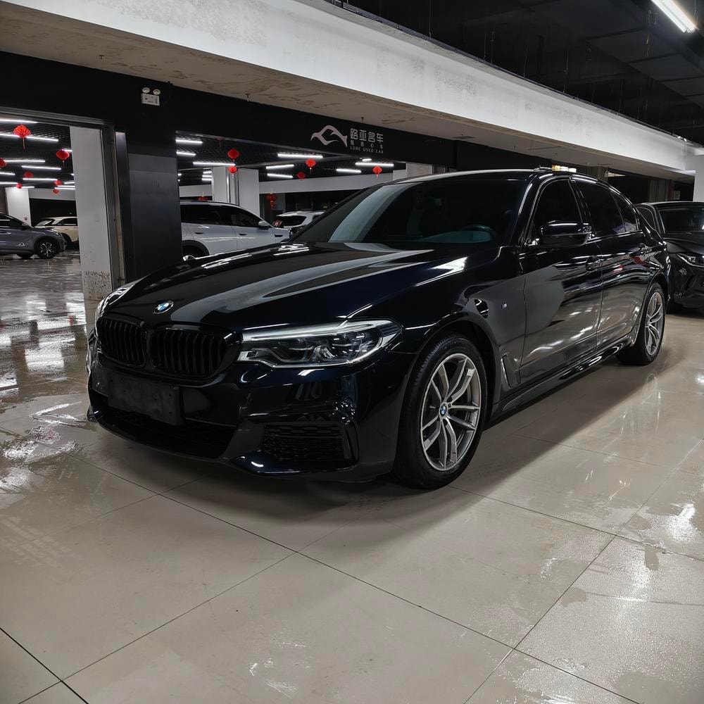 BMW 5-Series 2019 — фото автомобиля