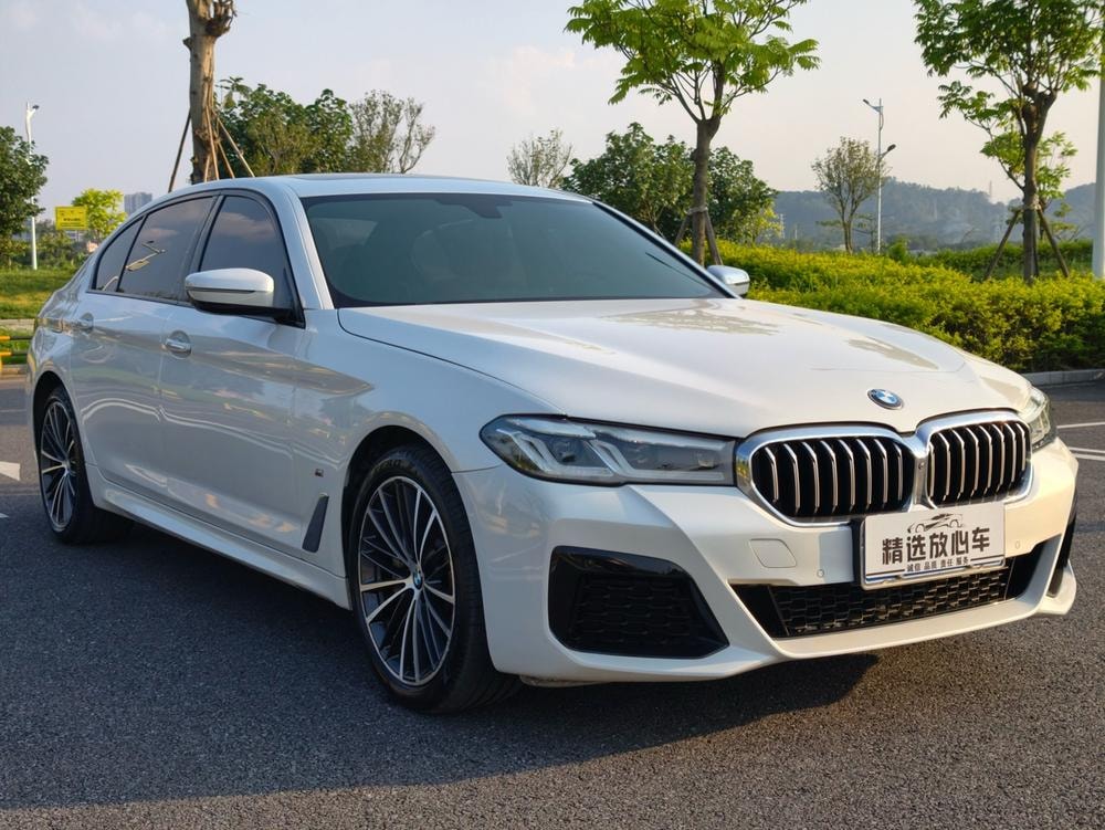 BMW 5-Series 2018 — фото автомобиля