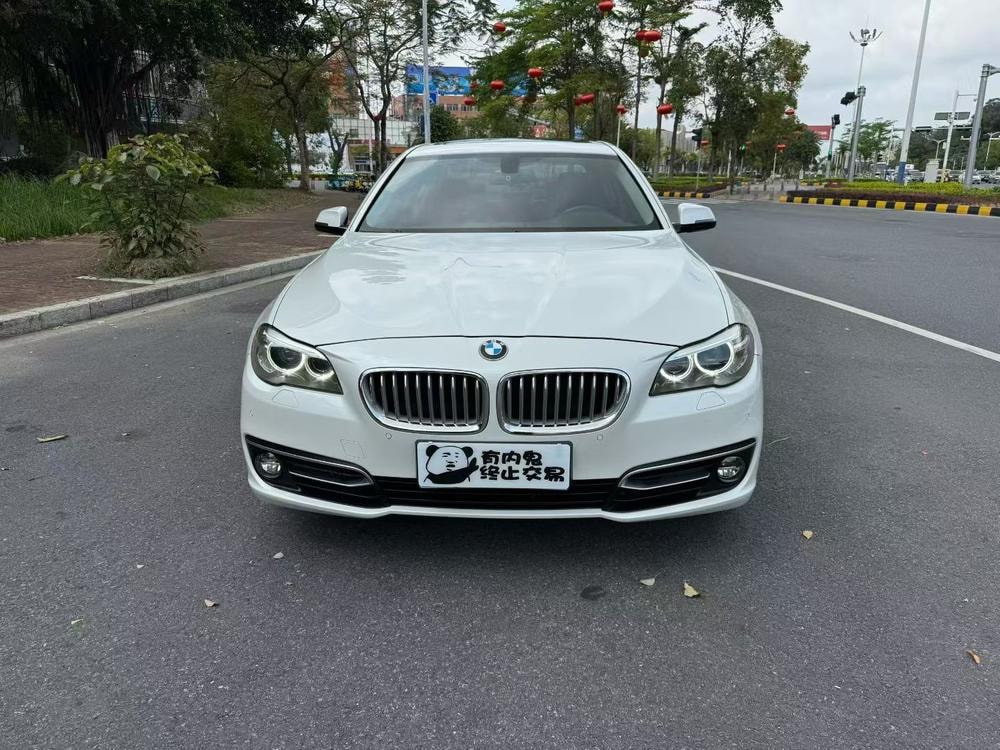 BMW 5-Series 2014 — фото автомобиля 1