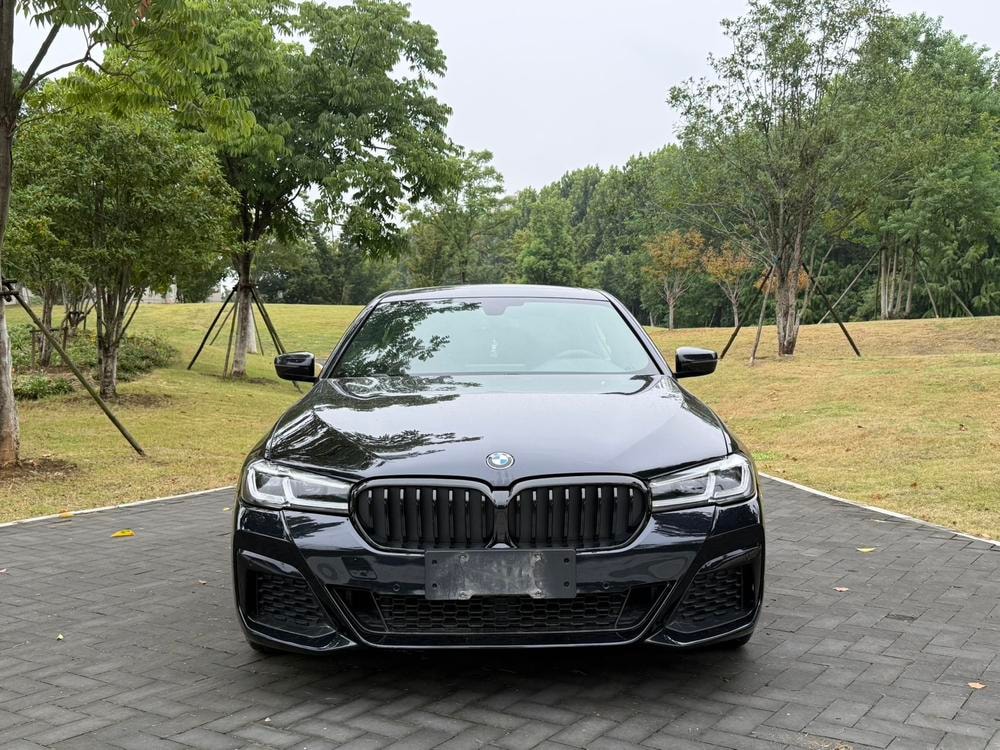 BMW 5-Series 2019 — фото автомобиля 1