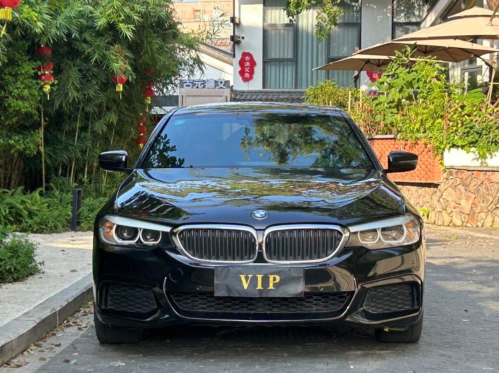 BMW 5-Series 2019 — фото автомобиля 1