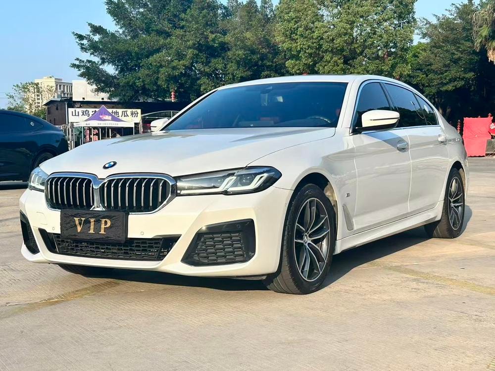 BMW 5-Series 2021 — фото автомобиля 1