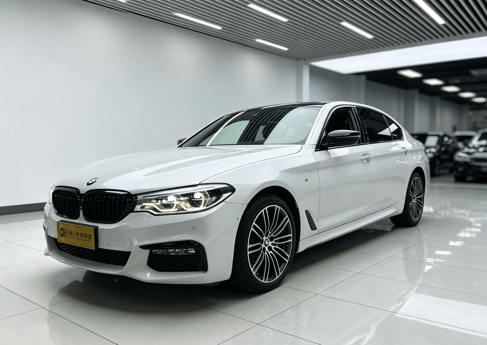 BMW 5-Series 2018 — фото автомобиля 1