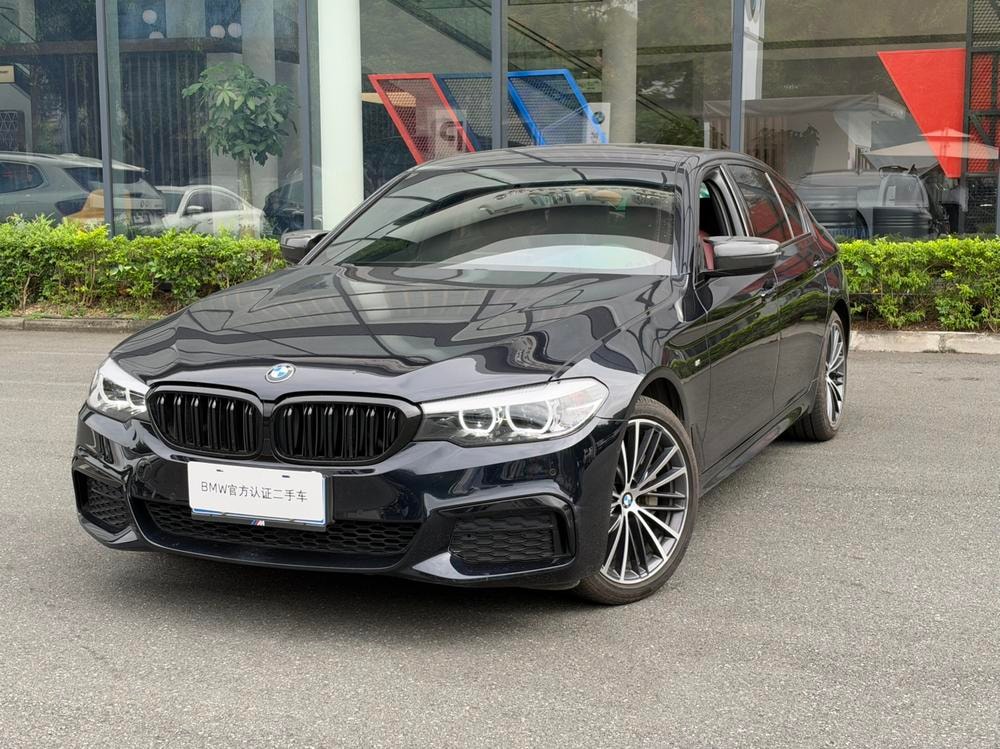BMW 5-Series 2019 — фото автомобиля 1