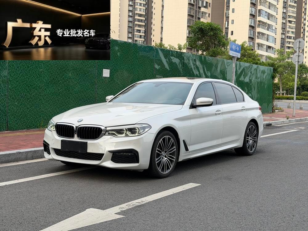 BMW 5-Series 2019 — фото автомобиля 1