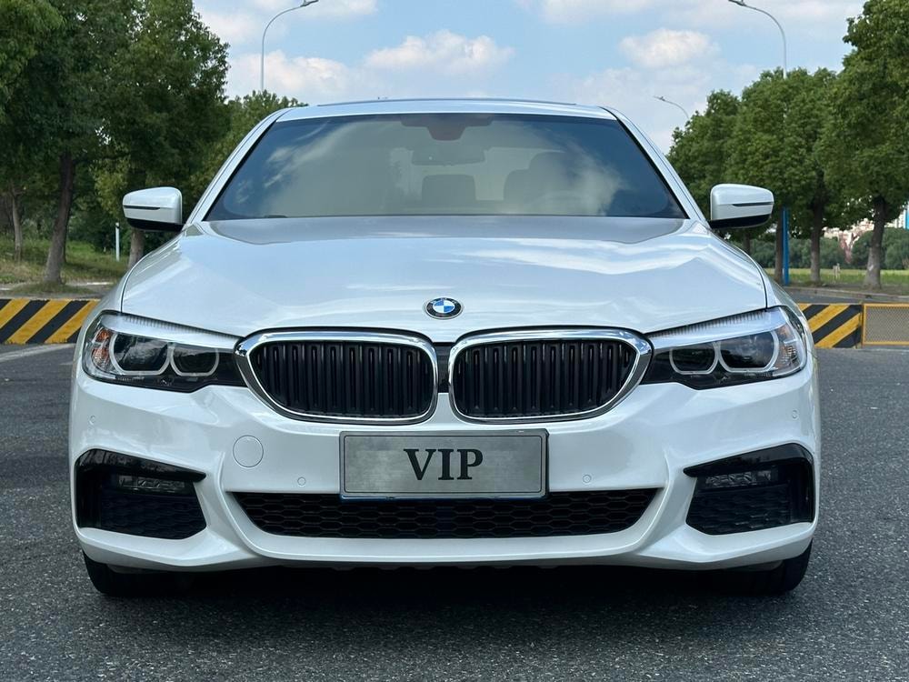 BMW 5-Series 2019 — фото автомобиля