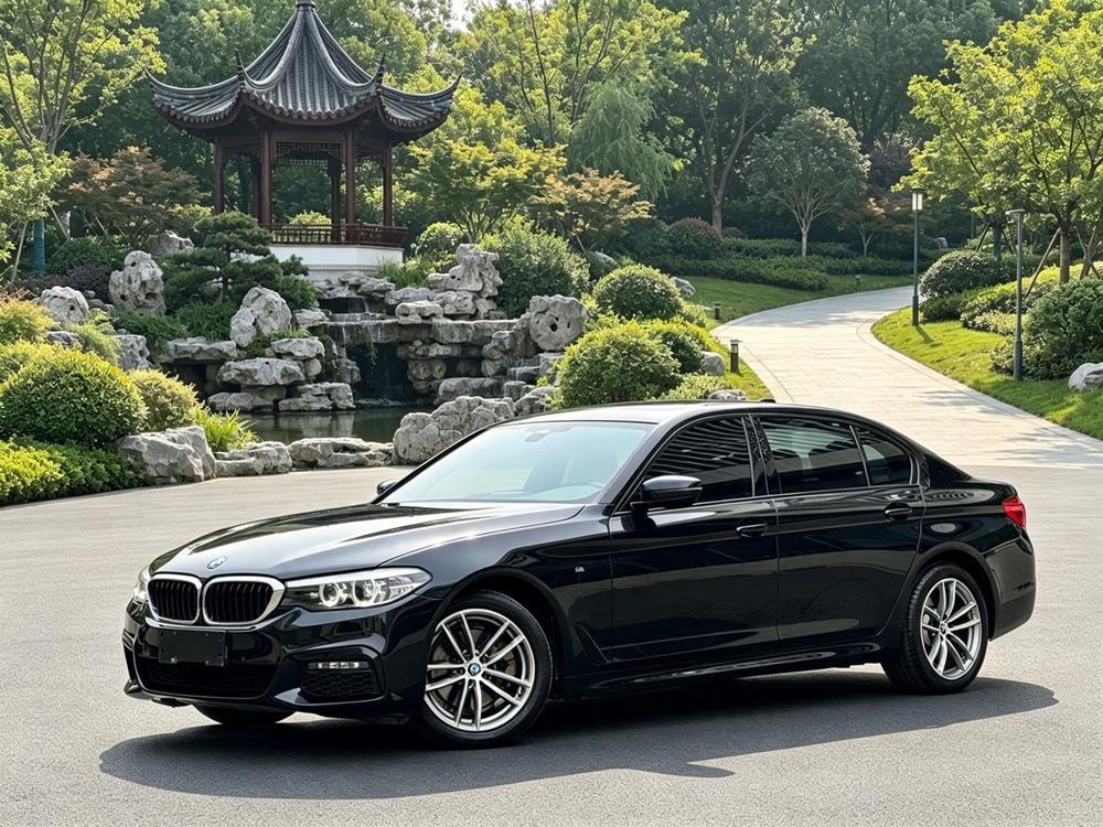 BMW 5-Series 2019 — фото автомобиля 1
