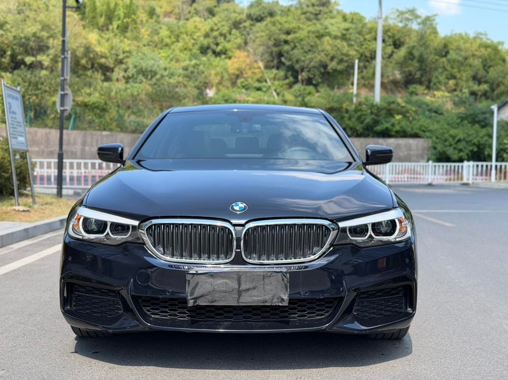 BMW 5-Series 2019 — фото автомобиля 1