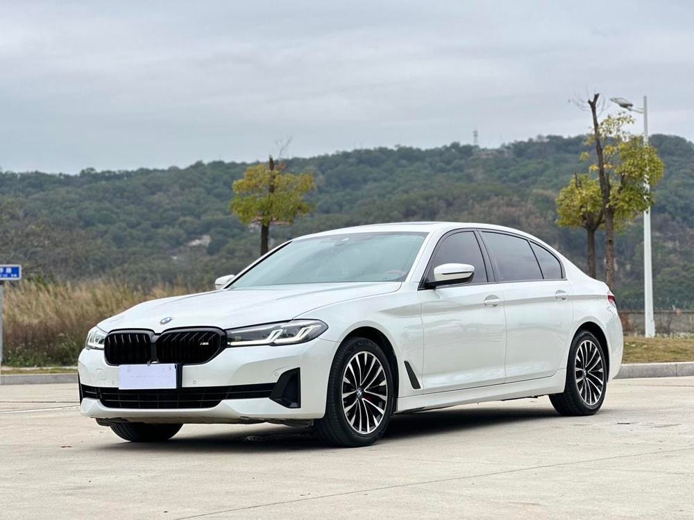 BMW 5-Series 2021 — фото автомобиля 1