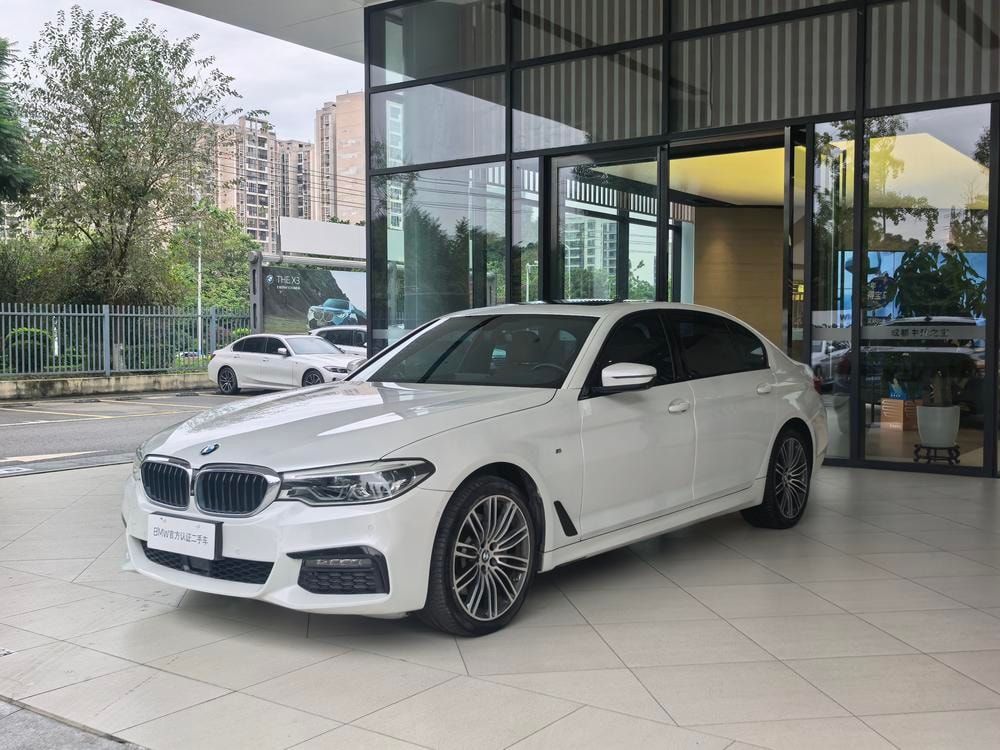 BMW 5-Series 2019 — фото автомобиля