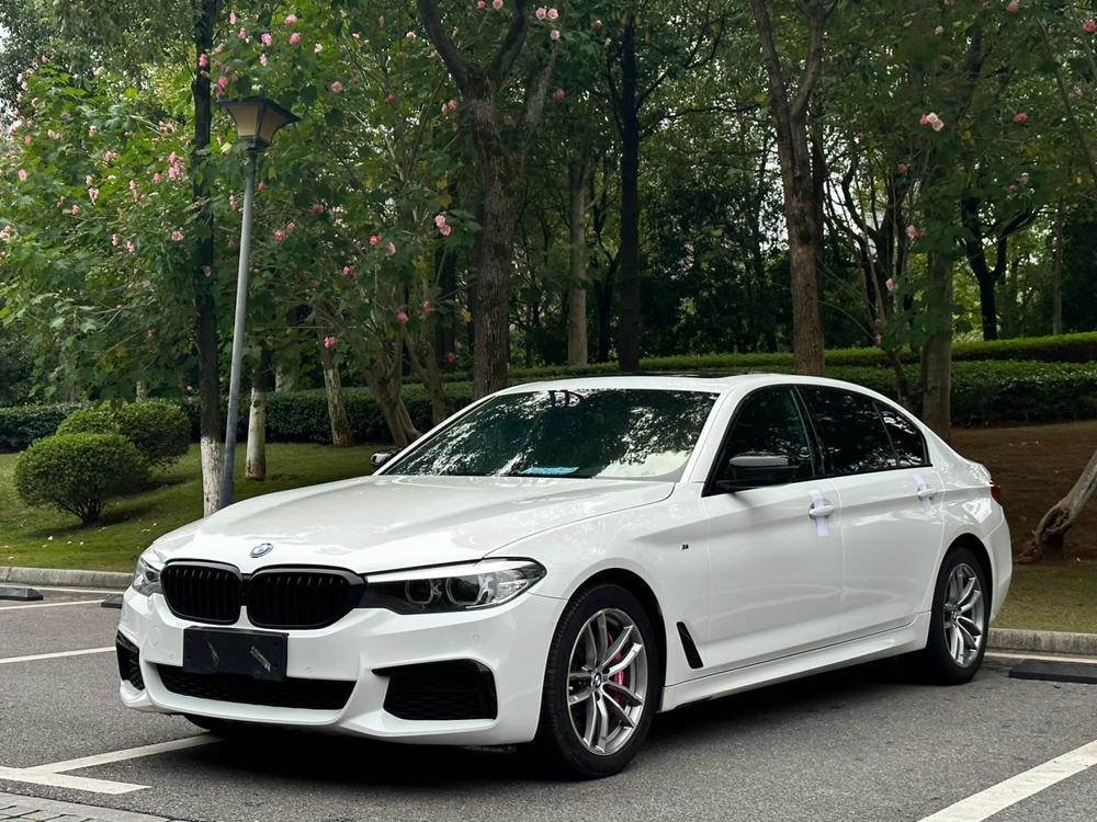BMW 5-Series 2019 — фото автомобиля
