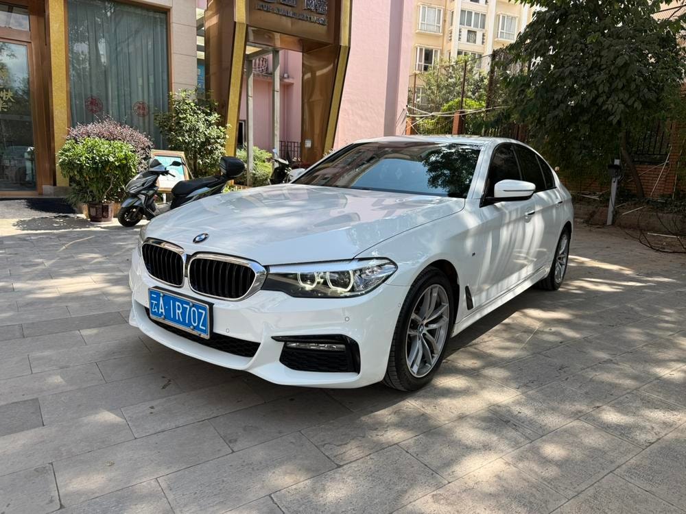 BMW 5-Series (Import) 2019 — фото автомобиля