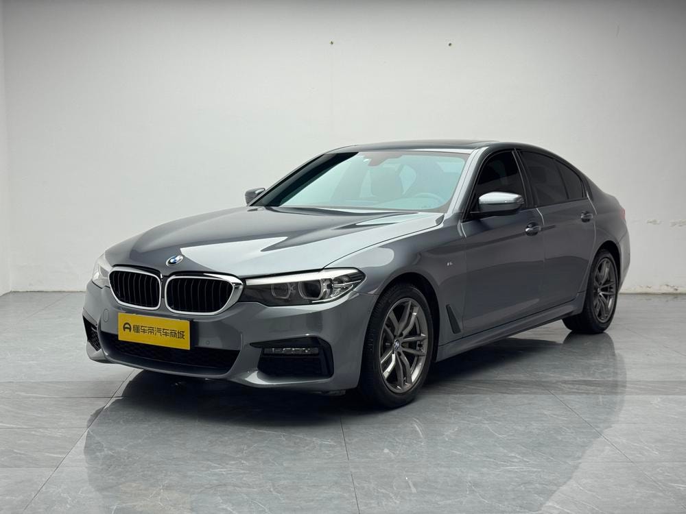 BMW 5-Series (Import) 2019 — фото автомобиля 1
