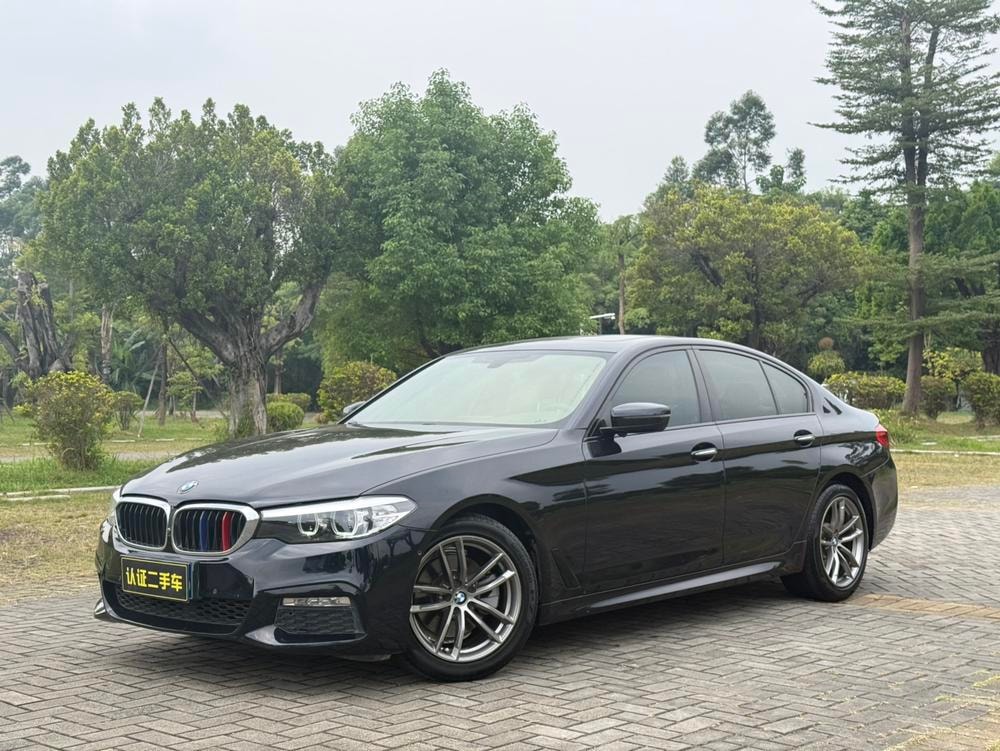 BMW 5-Series (Import) 2018 — фото автомобиля