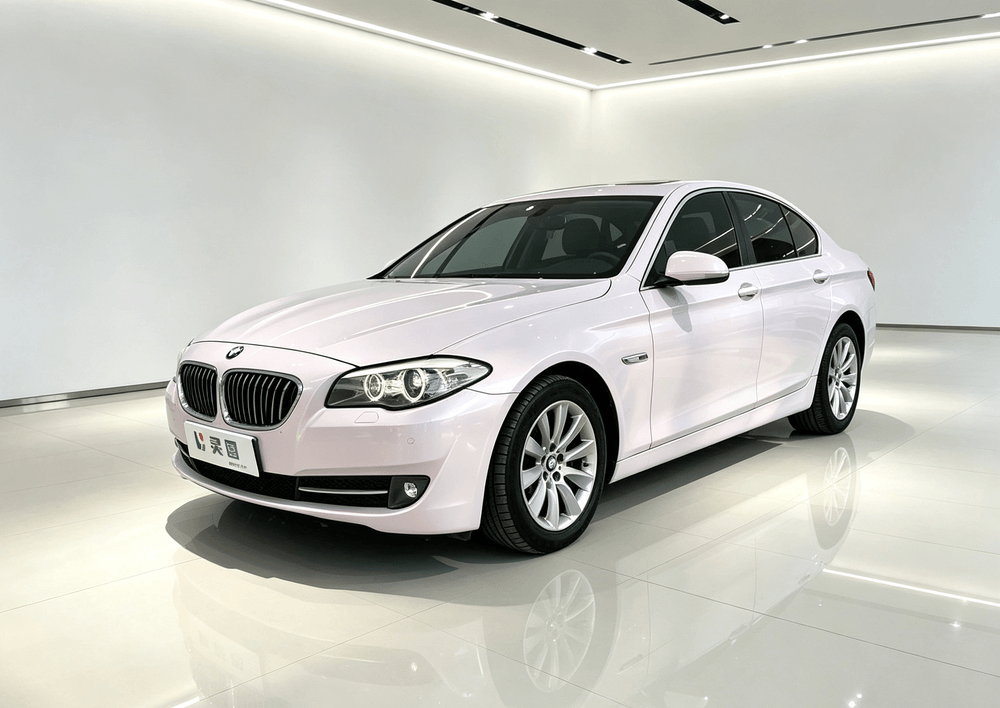 BMW 5-Series (Import) 2011 — фото автомобиля