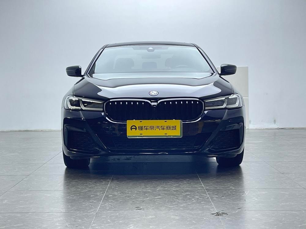 BMW 5-Series PHEV 2022 — фото автомобиля
