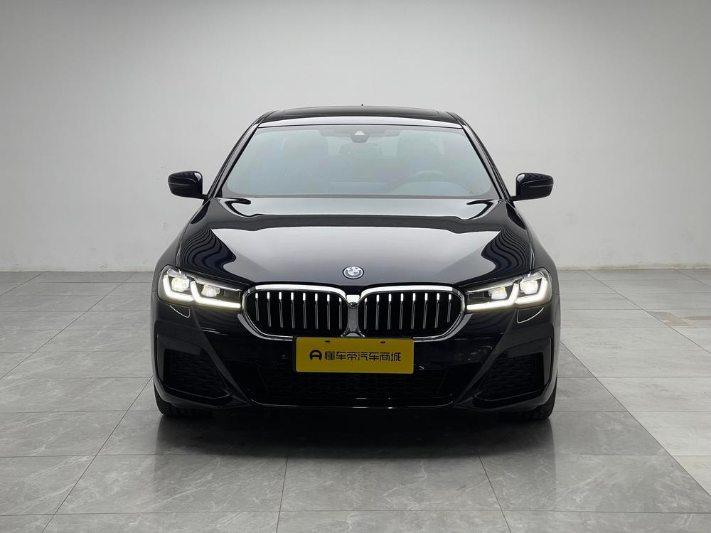BMW 5-Series PHEV 2022 — фото автомобиля 1