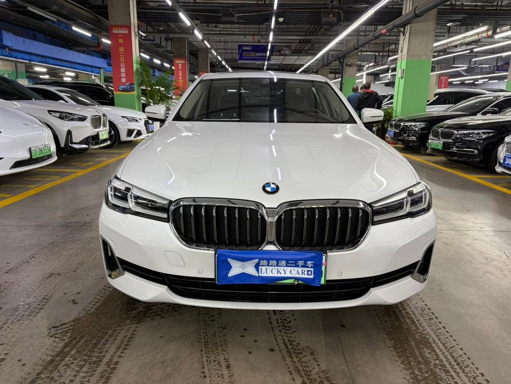 BMW 5-Series PHEV 2021 — фото автомобиля 1