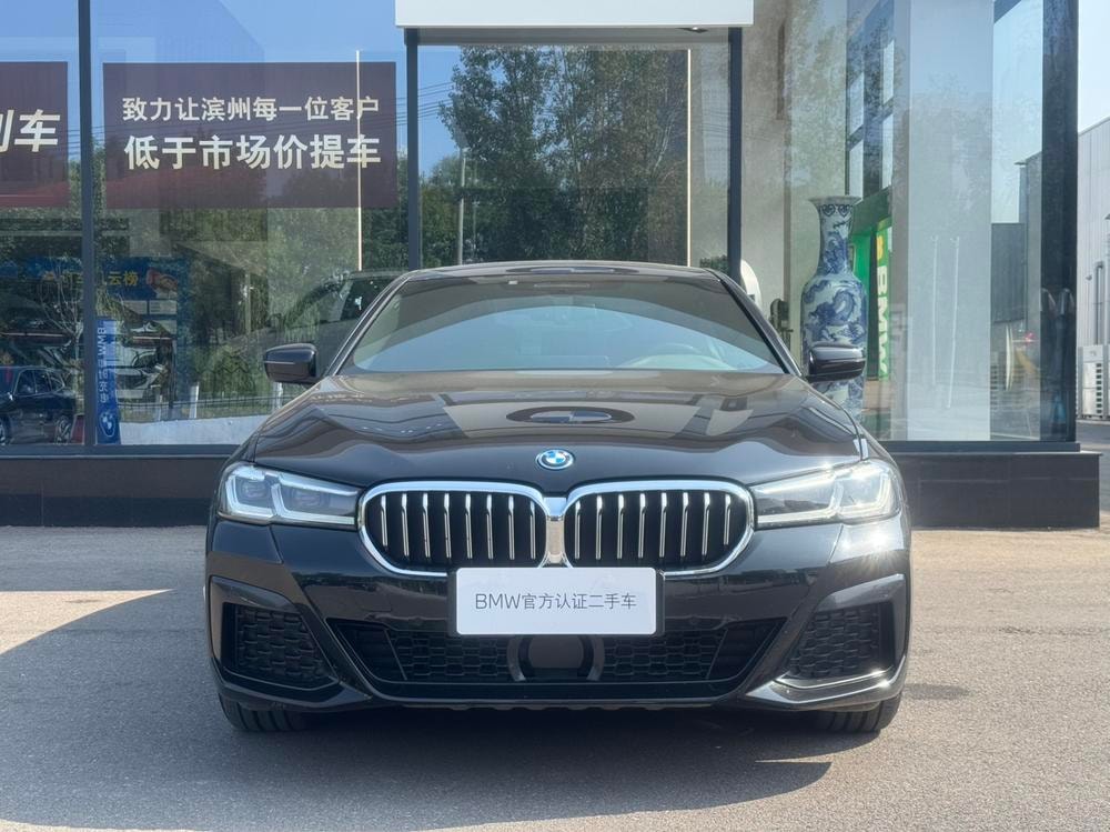BMW 5-Series PHEV 2022 — фото автомобиля 1
