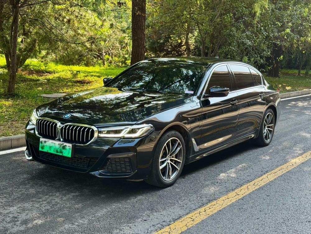 BMW 5-Series PHEV 2022 — фото автомобиля 1