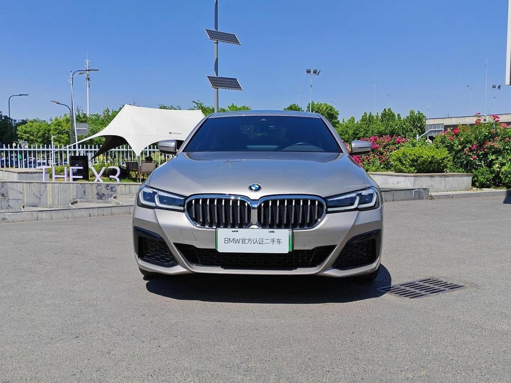 BMW 5-Series PHEV 2021 — фото автомобиля 1